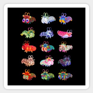 Mantis shrimp Magnet